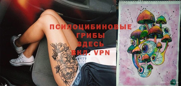 стаф Белоозёрский
