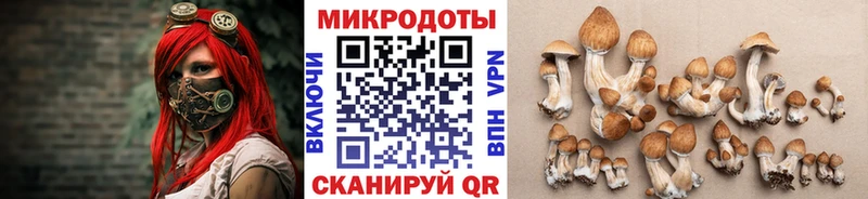 где купить наркоту  Пикалёво  Псилоцибиновые грибы MAGIC MUSHROOMS 