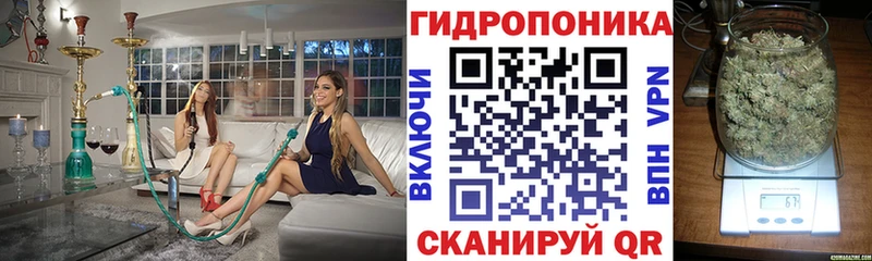 дарнет шоп  Пикалёво  Канабис тримм 